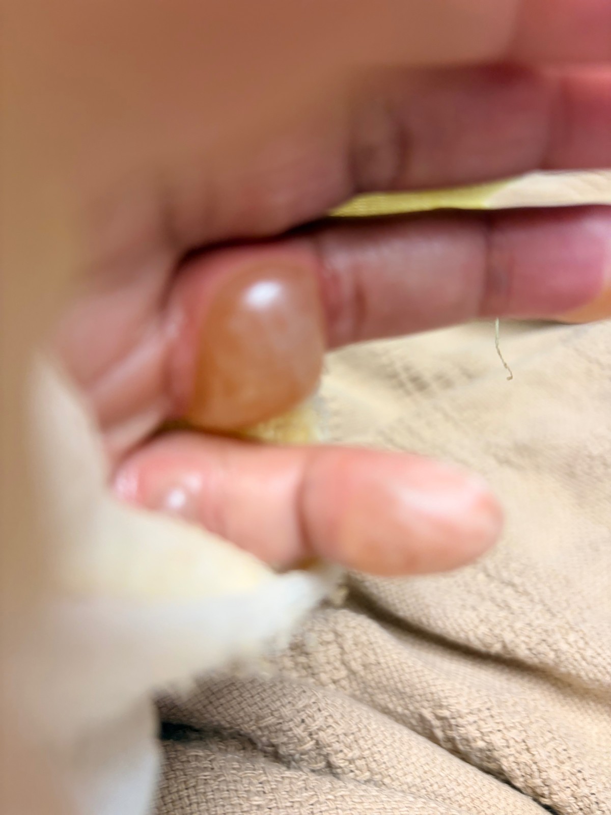Support Talia’s Healing Journey After the Accident — photo 5
